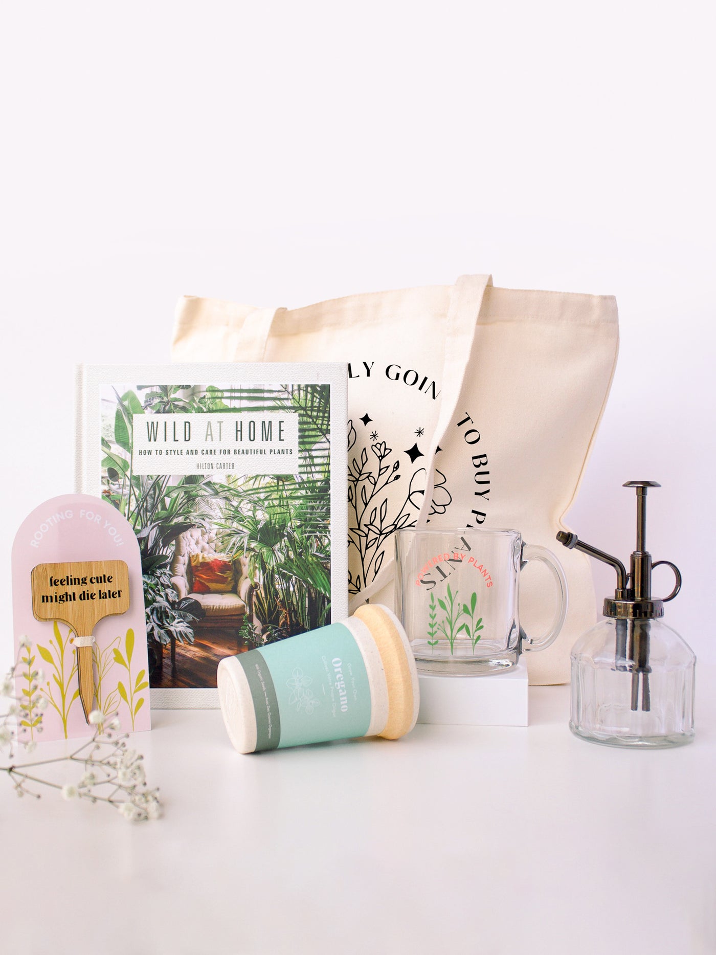 Plant Lover Essentials Kit